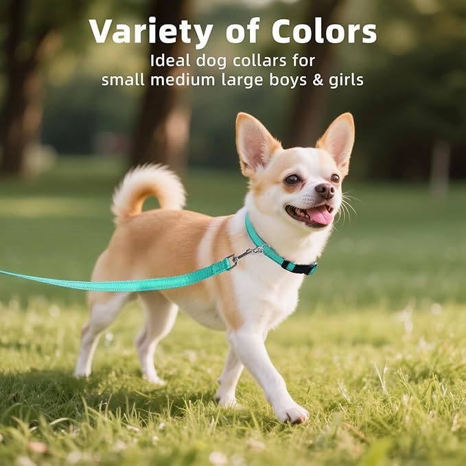 Soft Reflective Dog Collar for Extra Small Dogs, Lightweight Adjustable Puppy Collar with Neoprene Padding, Gentle Nylon for Chihuahua Yorkie,Teal,XS