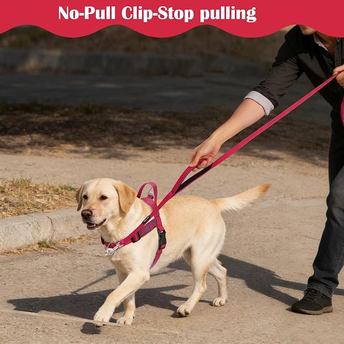 Annchwool No Pull Dog Harness with Front Clip and Easy Control Handle-Belly & Chest Adjustable Dog Harness and Leash Set for Medium Large Dogs-Heavy Duty Vest Harnesses Easy for Walking(Red,L)