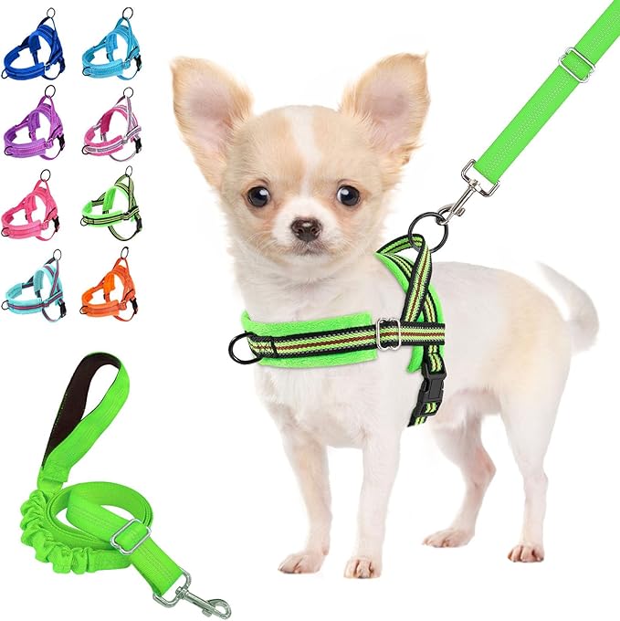 Lukovee No Pull Dog Harness and Leash Set, Soft Padded Small Dog Harness, Neck & Chest Adjustable Reflective Vest Puppy Harness with 4ft Lightweight Anti-Twist Dog Leash for Small Dogs (S, Green)