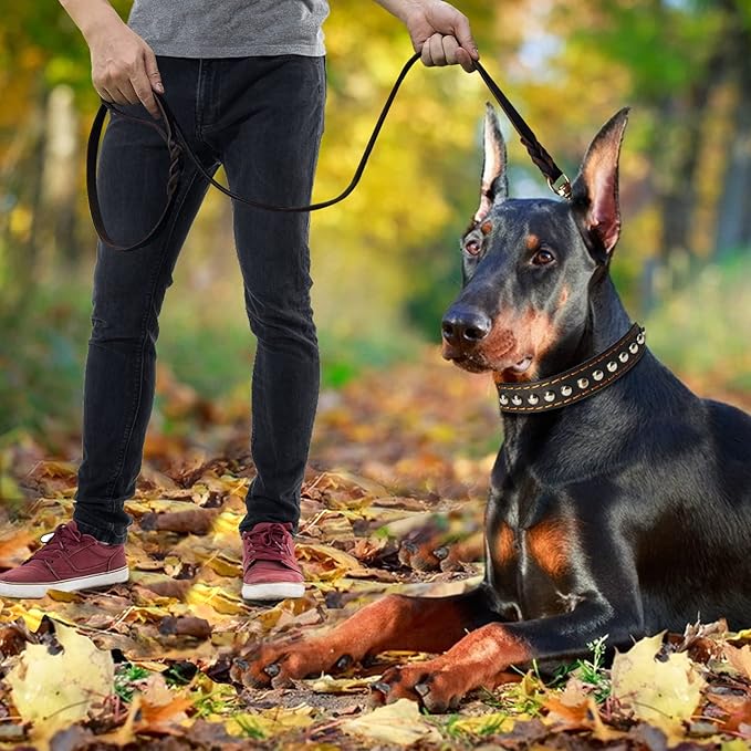 LWBMG Leather Dog Leash 8ft x 3/4 inch, Dog Leashes for Large Dogs Heavy Duty, Strong and Soft Handmade Braided Dog Training Leashes, Comfortable Leather Leash for Large Medium Small Dogs