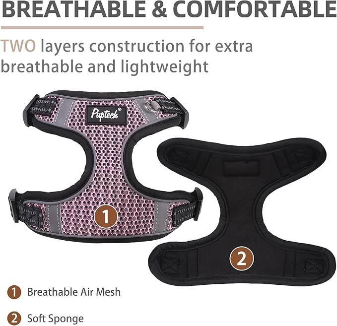 PUPTECK Dog Harness and Leash Set Small Sized, Step in No Pull Adjustable Puppy Cat Harness Reflective Pet Vest