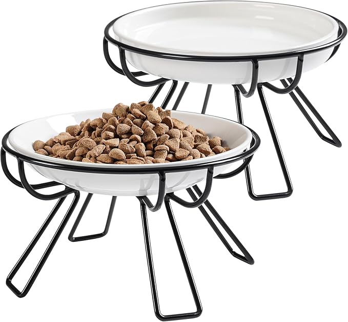 Presents The Ultimate Cat Dining Set: 5.9 inch Ceramic Water Bowl and Whisker-Friendly and Anti-Vomiting Plates.Elevated Bowl, Raised Ceramic Dish with Metal Stand