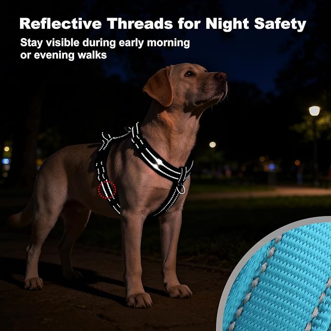 No Pull Dog Harness with Handle, Soft Mesh Padded Adjustable for Small Medium Large Dogs | Reflective Easy Walk Harness with Front Clip for Training, Running & Outdoor (Cyan, XS)