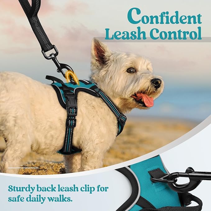 rabbitgoo Dog Harness No Pull with 2 Leash Clips, Adjustable Soft Padded, Reflective Oxford No Choke Pet Vest with Easy Control Handle for Puppy, Teal, XS