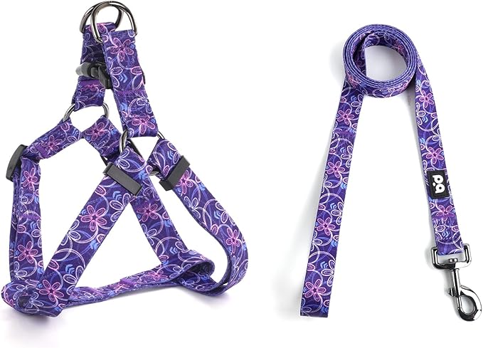 QQPETS Dog Harness Leash Set Adjustable Heavy Duty No Pull Halter Harnesses for Small Medium Large Breed Dogs Back Clip Anti-Twist Perfect for Walking