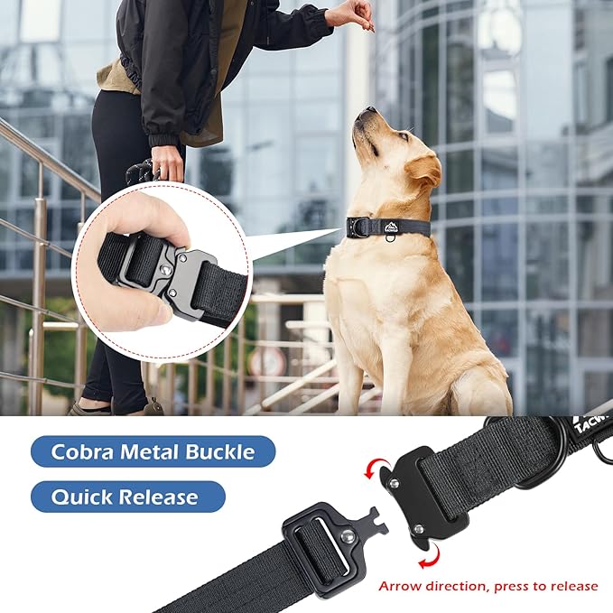 Dog Colla for Small Dogs Christmas Boy Girl - Adjustable, Chew Proof Nylon Collar with Metal Quick Release Buckle and D-Ring for Dog Tags (New York Afterlight, S)(not Included The Pendant)