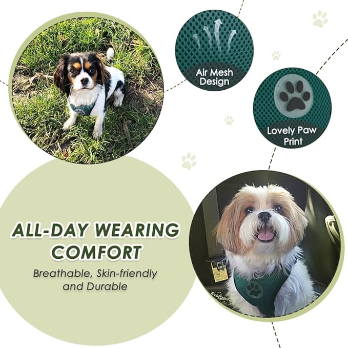 Lukovee Dog Seat Belt for Car, Adjustable Dog Car Harness for Large Medium Small Dogs, Soft Padded & Breathable Mesh Dog Seatbelt with Car Strap and Carabiner (Green,S)