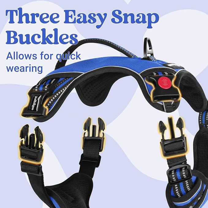 rabbitgoo Dog Harness Small Sized Dog, No Pull Pet Harness with Soft Padded Handle, Adjustable Reflective Vest with 3 Buckles, Easy Walking Harness with 2 Leash Clips, Blue, S