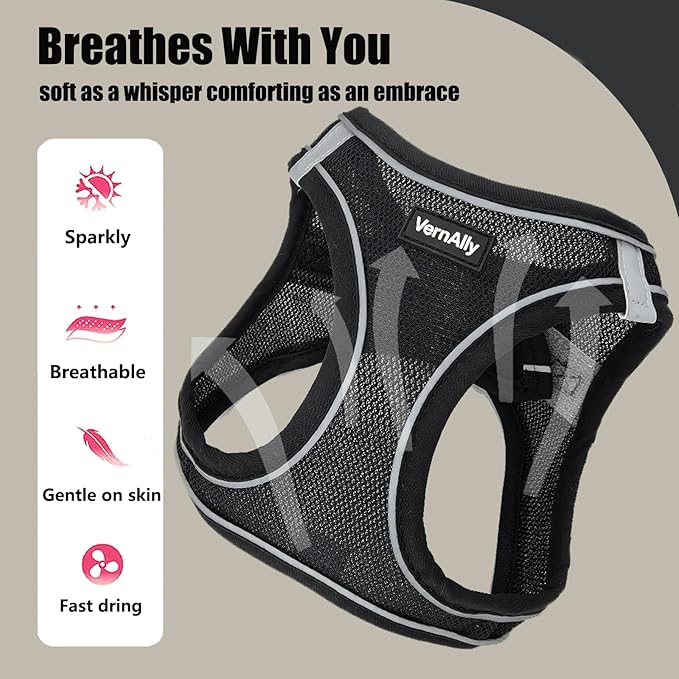 Sparkly Dog Harness Small Sized and Leash Set for Small Dogs Cats,Black XS Puppy Harness, Step in Soft Dog Reflective Vest, Breathable Mesh Pet Harness. (Black, XS)