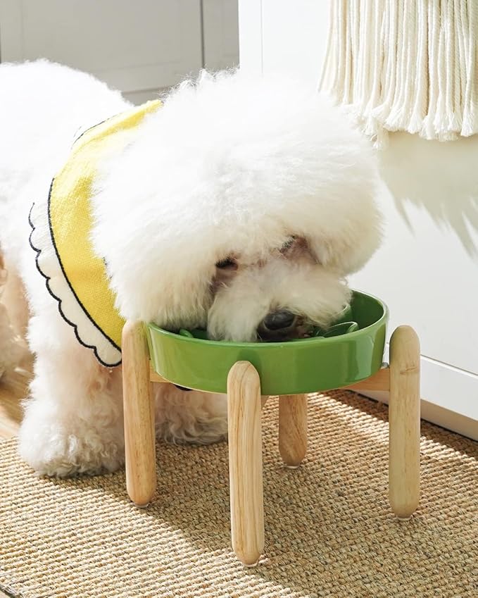 LE TAUCI Ceramic Slow Feed Dog Bowls, Elevated for Small Breeds, Anti-Gulping, Non-Slip, 6 inch, Green