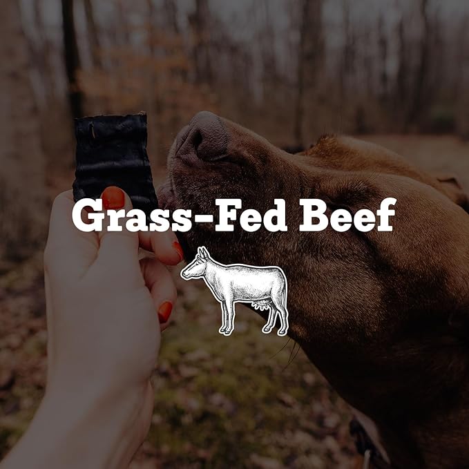 Farm Hounds - Beef Trainers - Premium Natural Beef Jerky for Dogs - Made from 100% Humanely Raised Cattle - Easy-Break - Great for Training & Treats - No Added Fillers - Made in USA - 4.5 oz - 1 Pack