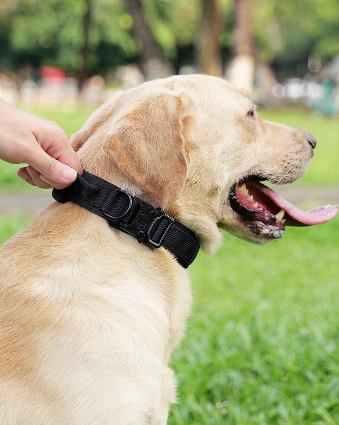 Joytale Tactical Dog Collar with Handle, Adjustable Heavy Duty Military Collar with 2 Patches for Training, Suitable for Medium Dogs, Black, M