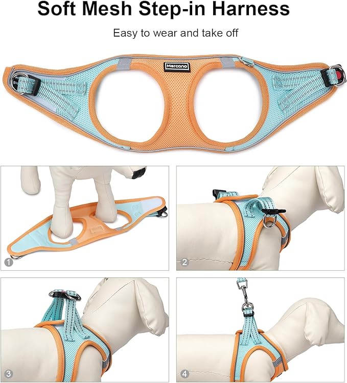 Mercano Soft Mesh Dog Harness and Leash Set, No-Chock Step-in Reflective Breathable Lightweight Easy Walk Vest Harnesses with Safety Buckle for Small Dogs, Cats (S, Orange Blue)