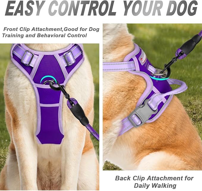 BARKBAY No Pull Dog Harness Front Clip Heavy Duty Reflective Easy Control Handle for Large Dog Walking(Violet Purple & Purple,M)