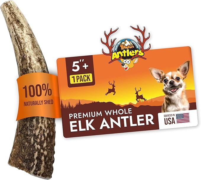 Tibetan Dog Chew Antler