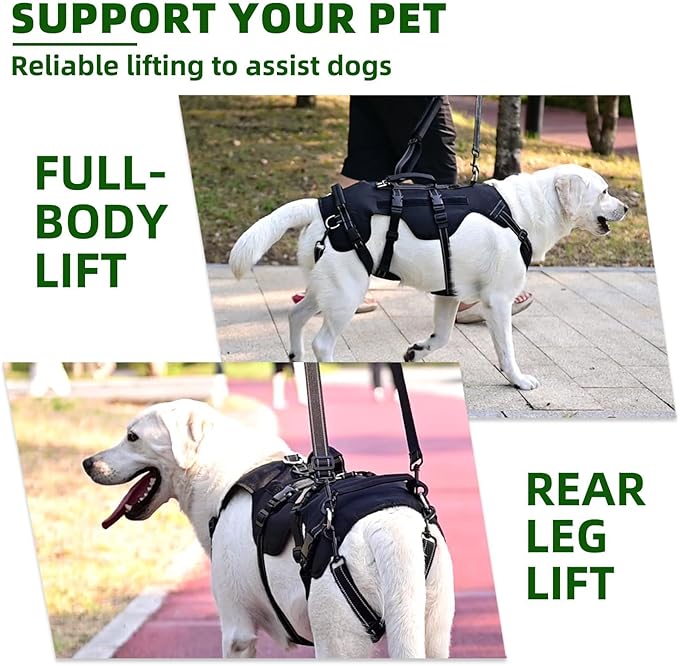 PUPTECK Dog Lift Harness for Medium Large Sized Dog, Rehabilitation Sling for Hind Leg Support, Multifunctional Mobility Assistance Harness for Old, Disabled, Joint Injuries, Paralysis Dogs, Black M