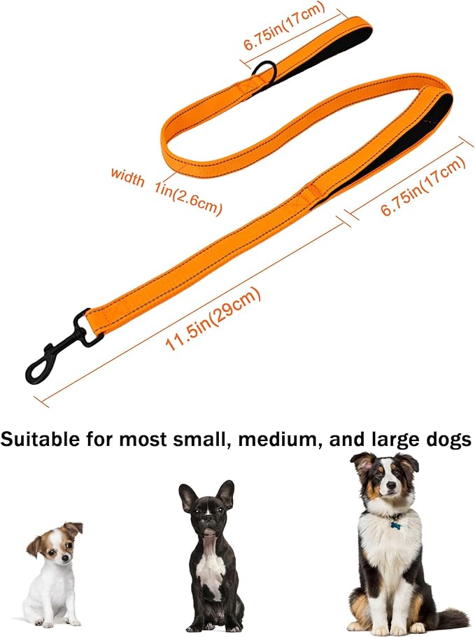 Solmoony 4FT Orange Strong Dog Leash with 2 Padded Handles, Traffic Handle Extra Control, Double-Sided Reflective Walking Lead for Small Medium and Large Dogs(Orange, 4FT)