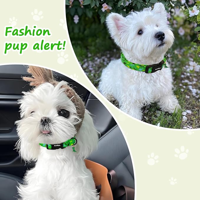 Medium Dog Collars for Male Dogs, Boy Dog Collars with Dinosaur Pattern竊똀djustable Cotton Green Collar for Puppy Dog竊똈deal, Daily Photos & Pet Fashion Accessory