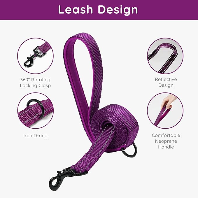 BELLA & PAL Step in Vest Harness for Small and Medium Dogs, No Pull Small Dog Harness with Leash Set, Comfortable Air Mesh Dog Vest Harness with Reflective Strip (Grape Purple, L)