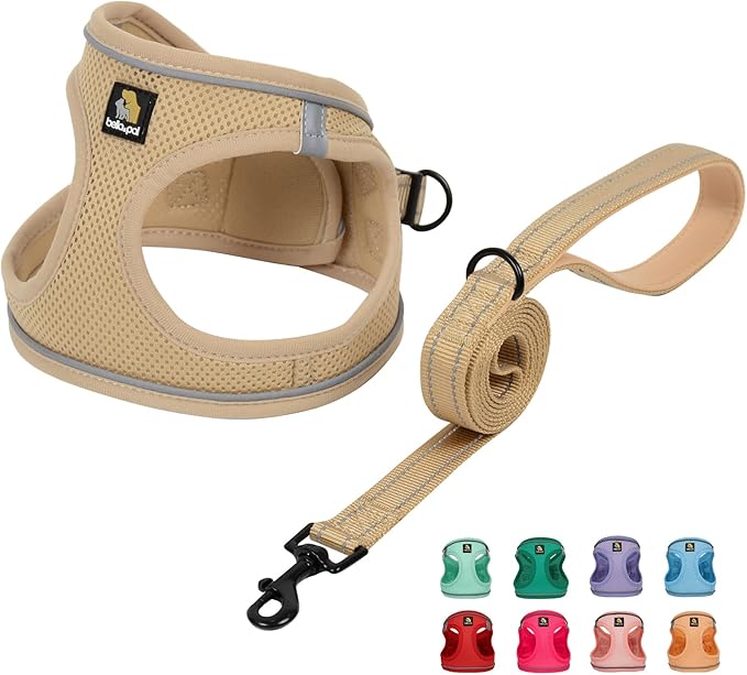 BELLA & PAL Step in Vest Harness for Small and Medium Dogs, No Pull Small Dog Harness with Leash Set, Comfortable Air Mesh Dog Vest Harness with Reflective Strip (Khaki, XXS)