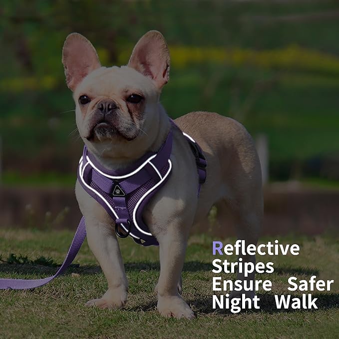 No Pull Dog Harness with Leash Set for Small Sized Dog, Reflective Adjustable No Choke Front Clip Cat Vest Harness with Breathable Mesh, Comfortable Soft Padded Pet Vest, Purple M