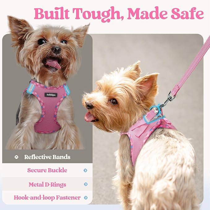 rabbitgoo Dog Harness Small Sized and Leash Set, Step in Soft Light Puppy Vest, Breathable Mesh Pet Harness, Reflective for Safe Easy Walking, Pink & Plaid Trim S