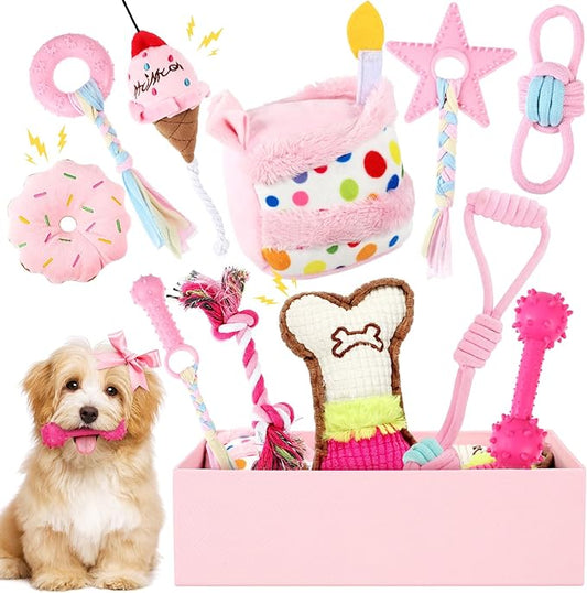 11 Pcs Dog Birthday Toy Gift for Dog Birthday Cake Puppy Girl Boy Squeak Toys Interactive Puppy Gift with Box for Small Medium Size(Classic,Pink)