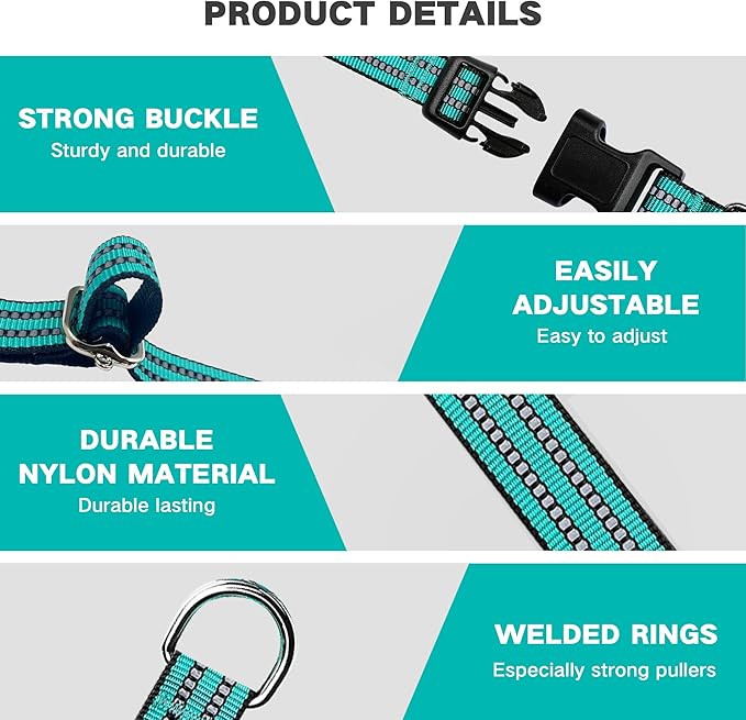 Hikiko Martingale Dog Collars Reflective Nylon Dog Collar with Quick Release Buckle Adjustable Training No Slip Dog Collar (Medium, Turquoise)