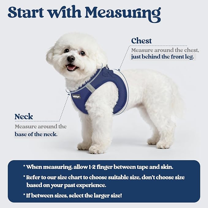 rabbitgoo Dog Harness Small Sized and Leash Set, Step in Soft Light Puppy Vest, Breathable Mesh Pet Harness, Reflective for Outdoor Safe Walking, Navy Blue XL