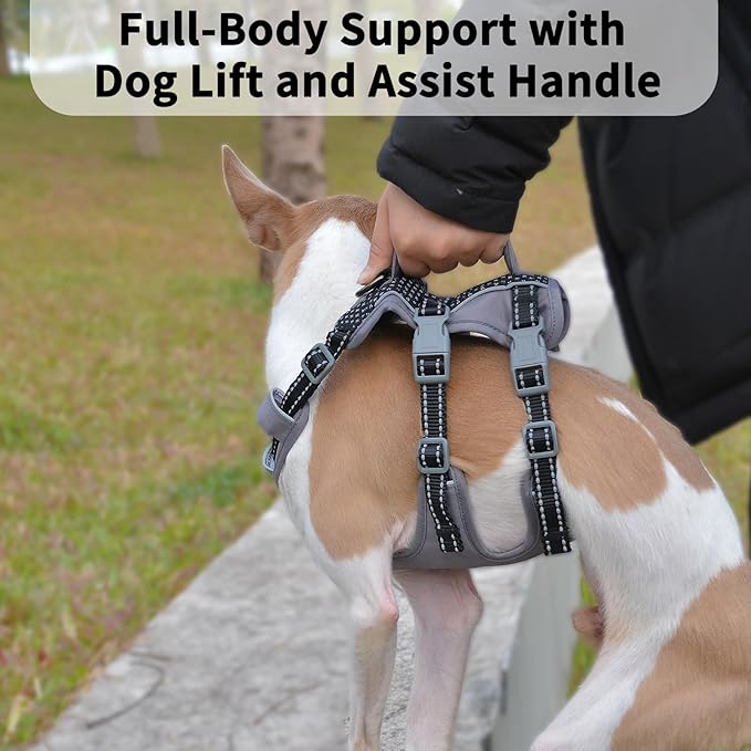 Huntboo Reflective Dog Harness with Handle, Escape Proof, No Slip, Breathable, Lightweight, Adjustable Lift Harness for Small, Medium, and Large Dogs Walking, Training, and Running Gear(Black,XS)