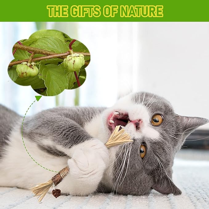GBSYU 3 Pack Silvervine Cat Toy, Silvervines Sticks Cat Toys for Indoor Cats, Cat & Kitten Chew Toys for Aggressive Chewers, Cat Dental Toy for Kitten Teeth Cleaning, Matatabi Silvervine for Cats