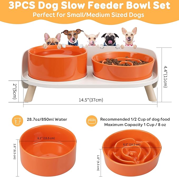Elevated Slow Feeder Dog Bowls - Ceramic Food and Water Bowl Set with Stand - Raised Pet Dishes for Small and Medium Sized Dogs