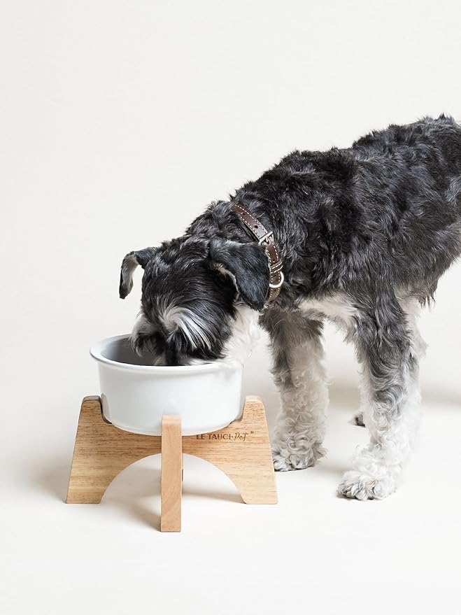 Raised Ceramic Dog Bowl with Wooden Stand, 6.5 Inch Elevated Feeder for Small & Medium Breeds, White, Set of 1