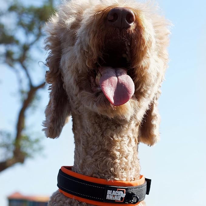 Black Rhino Dog Collar for Large Dogs - Adjustable Reflective Heavy Duty Dog Collars with Ultra-Soft Neoprene Padding - Weatherproof, Durable, and Comfortable for Active Dogs - Orange and Black