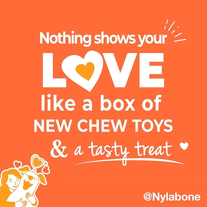 Nylabone Dog Gift Box, Includes 3 Strong Chew Toys and 1 Natural Treat, Gifts for Dogs, Large - Up to 50 lbs, 4 Pack