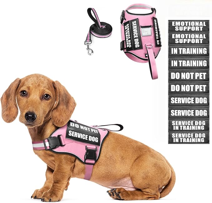 Service Dog Harness and Leash Set, Training Dog Vest with 10 Dog Patches, Emotional Support Therapy Dog Vest Harness for Small Medium Large and Extra Large Dogs(Pink, XS)