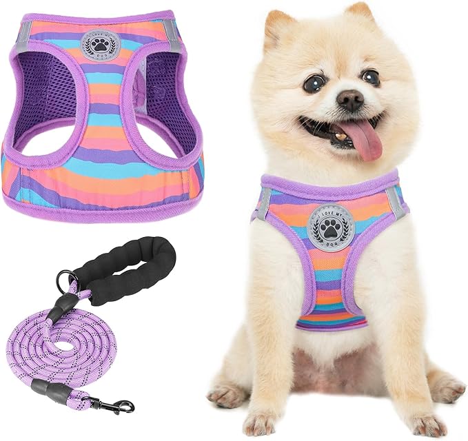 BEAUTYZOO Dog Harness and Leash Set for Small Dogs,No Pull Step-in Harness for Puppy XS S Sized Dogs and Cats,Air Mesh Adjustable Breathable Soft No Choke Escape Proof Vest Harnesses,Striped Purple XS