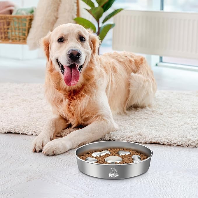 2Pcs Slow Feeder Dog Bowls, 5 Cups Stainless Steel Dog Slow Feeder Metal Pet Food Bowl with Non-Slip Base for Medium & Large Breed, Bloat Stop, Food-Grade, Dishwasher Safe