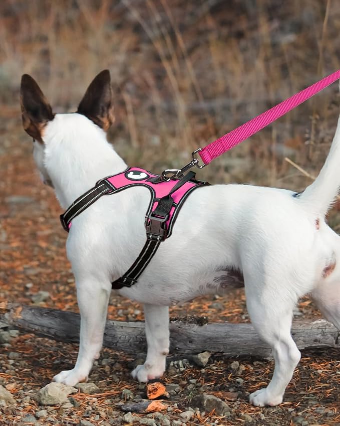 Joytale Dog Leash Heavy Duty for Small Medium Dogs, 6 FT Reflective Nylon Pet Walking Lead with Soft Padded Handle, Durable & Tangle Free for Training, Running & Safety Control, Hotpink