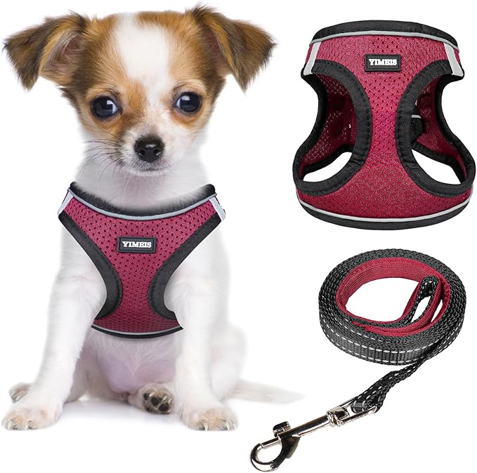 YIMEIS Dog Harness and Leash Set, No Pull Soft Mesh Pet Harness, Reflective Adjustable Puppy Vest for Small Medium Large Dogs, Cats (Grape Purple, Medium (Pack of 1)