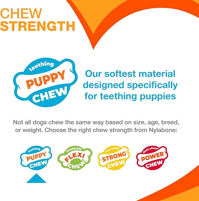 Nylabone Puppy Chew Blue Textured Teething Bone - Chewing Toys for Puppies - Puppy Supplies - Chicken Flavor, X-Small Dogs - Up to 15 Ibs, 1 Count