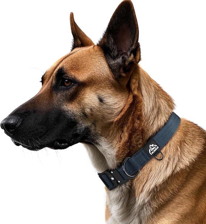 Heavy Duty Dog Collars for Medium and Large Dogs - Adjustable, Chew Proof Nylon Collar with Metal Quick Release Buckle and D-Ring for Dog Tags (Navy Blue, L)
