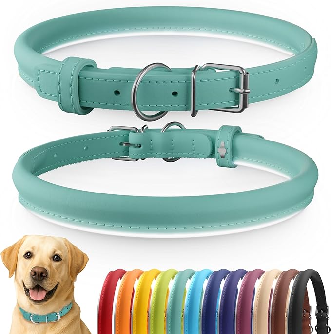 CollarDirect Rolled Leather Dog Collar, Soft Padded Round Puppy Collar, Handmade Genuine Leather Collar Dog Small Large Cat Collars 13 Colors (15-19 Inch, Mint Green Smooth)