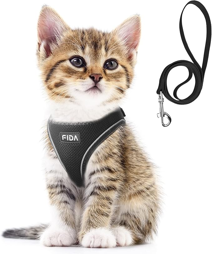 Fida Comfy Dog Harness with Leash, Cat Vest Harness Escape Proof, Breathable Lightweight Soft Mesh, Adjustable Reflective Step-in Harness for Puppy Toy Breeds & Extra-Small Pet (XXS, Black)