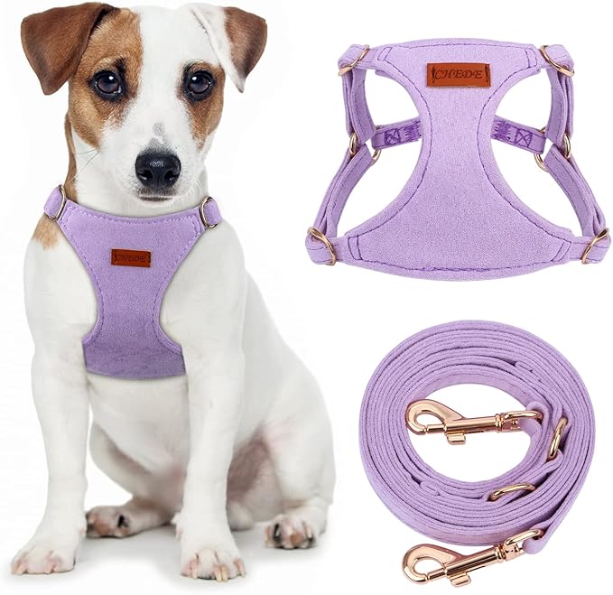 CHEDE No Pull Puppy Harness and Multifunction Dog Leash Set- 8 Colors Soft Adjustable No Choke Escape Proof Cute,Lightweight Pet Vest Harness for Small and Medium Dog (M, Purple)