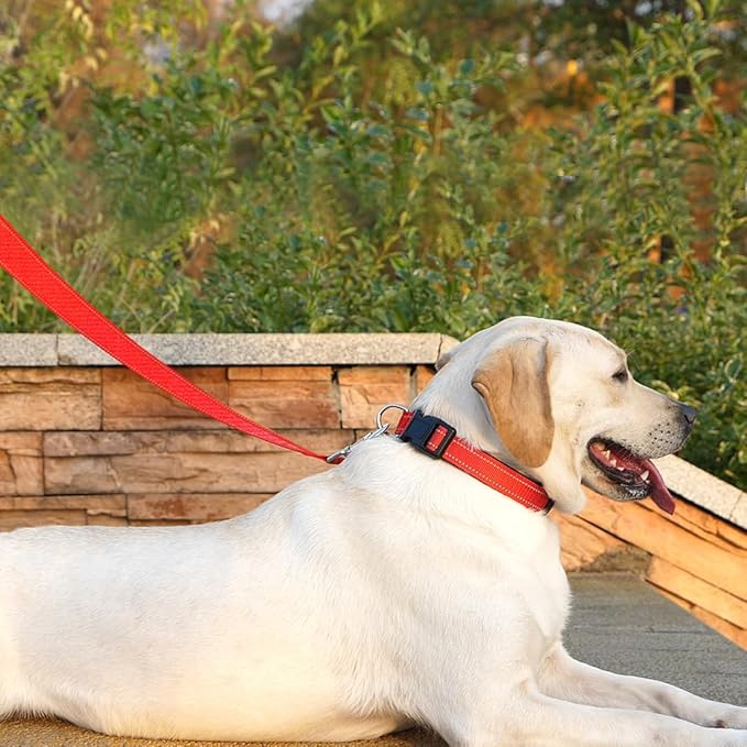 Dog Leash 6 FT Padded Handle Nylon Reflective Dogs Leashes for Small Dogs Red