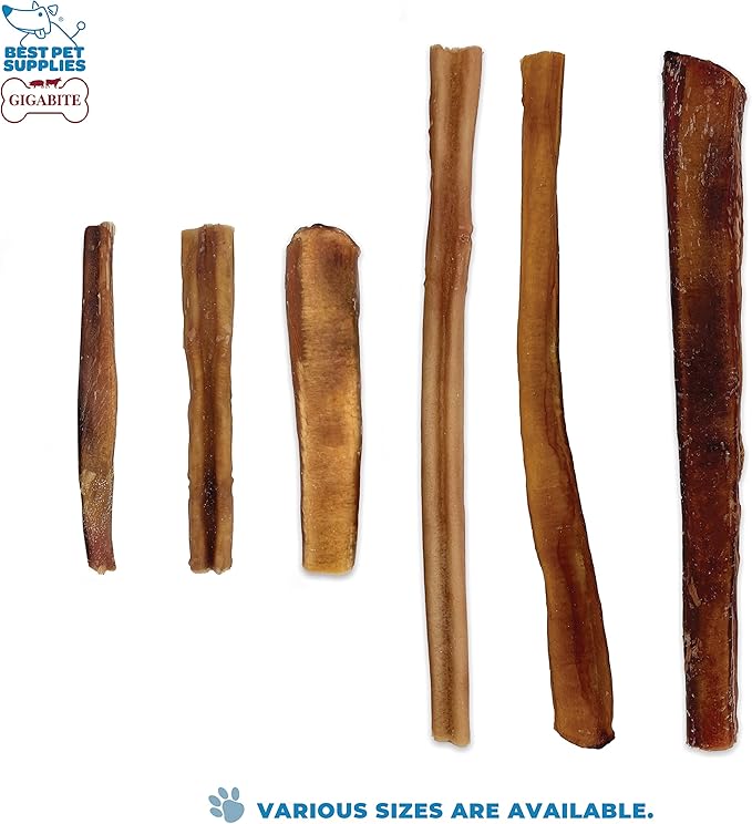 GigaBite Single Ingredient All Natural Free Range Bully Treats and Chews - Bully Sticks/Bladder Sticks/Beef Esophagus by Best Pet Supplies - Bully Sticks (Regular 12"), Pack of 6