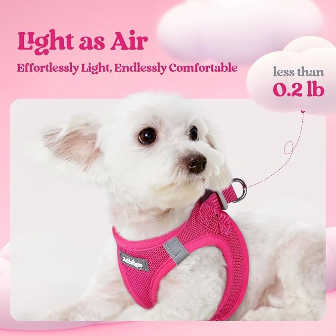 rabbitgoo Dog Harness Small Sized and Leash Set, Step in Soft Light Puppy Vest, Breathable Mesh Pet Harness, Reflective for Safe Easy Walking, Rose Red M