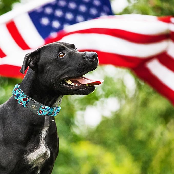 Elegant little tail Independence Dog Collar, Holiday Pet Collar Patriotic Dog Durable Dog Collars Girl or Boy Soft Pet Gift Adjustable Dog Collar for Small Medium Large Dogs