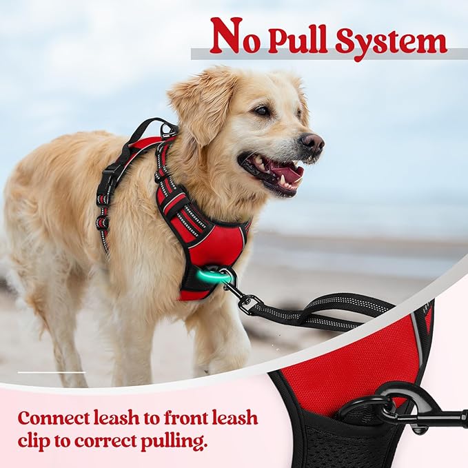 rabbitgoo Dog Harness No Pull with 2 Leash Clips, Adjustable Soft Padded, Reflective Oxford No Choke Pet Vest with Easy Control Handle for Small Dogs, Red, S